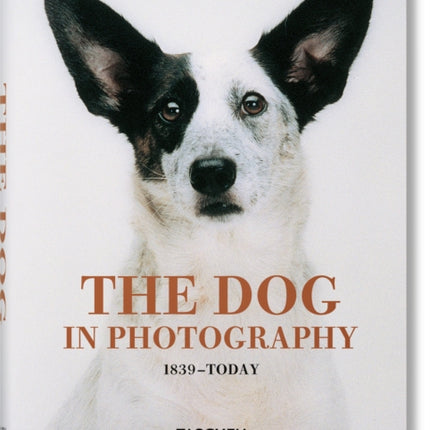 The Dog in Photography 1839–Today