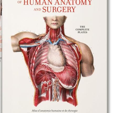 Bourgery. Atlas of Human Anatomy and Surgery