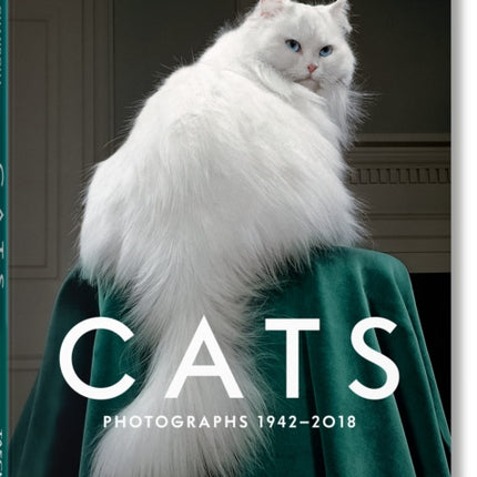 Walter Chandoha. Cats. Photographs 1942–2018