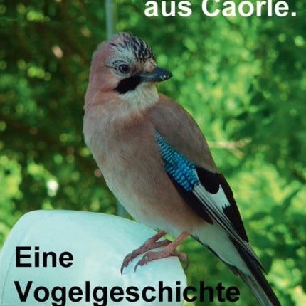 Burli der Eichelhäher aus Caorle: Eine Vogelgeschichte für Jung und Alt