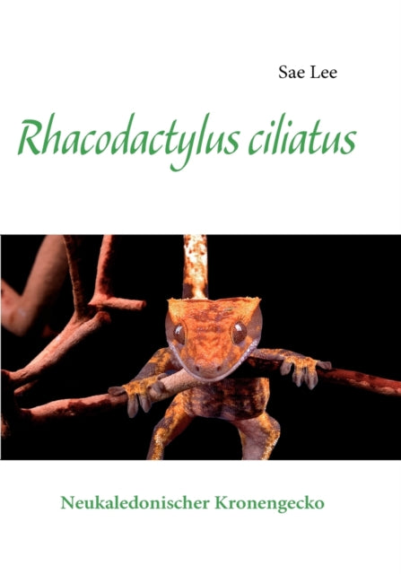 Rhacodactylus ciliatus: Neukaledonischer Kronengecko