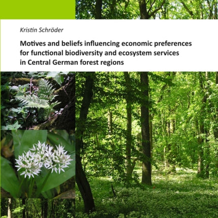 Motives and beliefs influencing economic