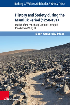 History and Society during the Mamluk Period