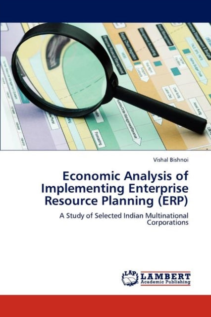 Economic Analysis of Implementing Enterprise