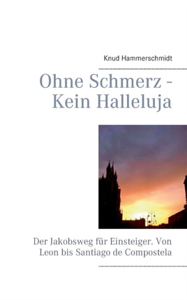 Ohne Schmerz - Kein Halleluja: Der Jakobsweg für Einsteiger. Von Leon bis Santiago de Compostela