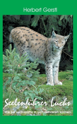 Seelenführer Luchs: Wie Sie Luchskräfte in sich