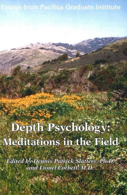 Depth Psychology, 2nd Edition: Meditations in the Field