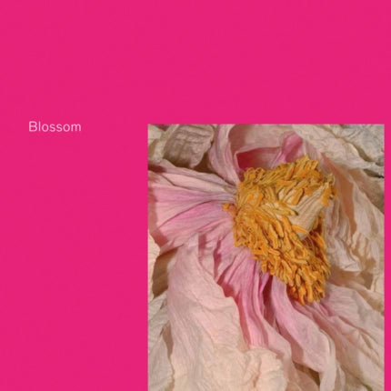 Blossom