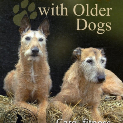 Good Times with Older Dogs Care Fitness and