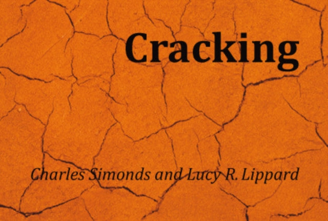 Charles Simonds: Cracking