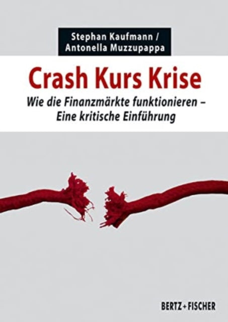 Crash Kurs Krise Wie die Finanzmrkte funktionieren Eine kritische Einfhrung