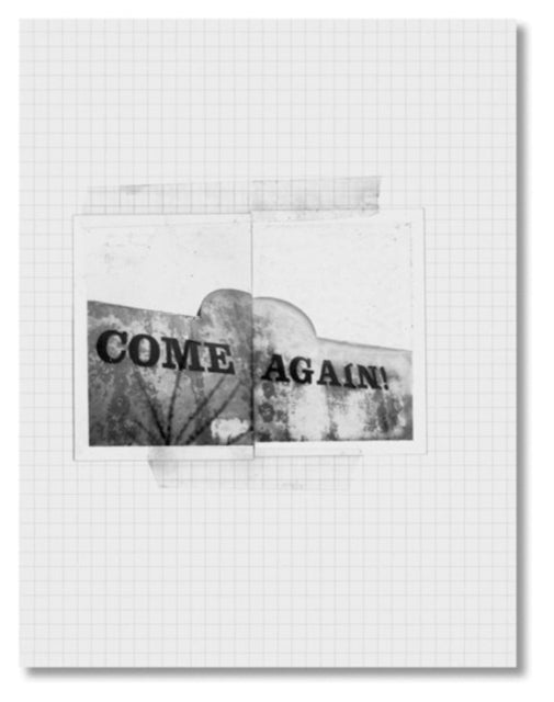 Robert Frank: Come Again