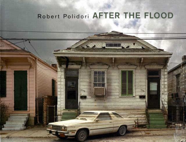 Robert Polidori: After the Flood