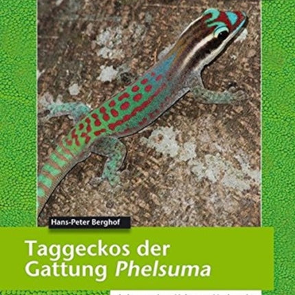 Taggeckos der Gattung Phelsuma