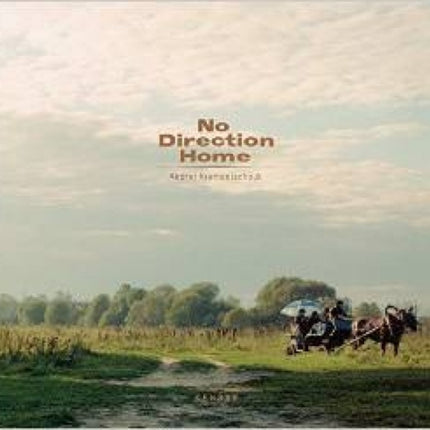 No Direction Home