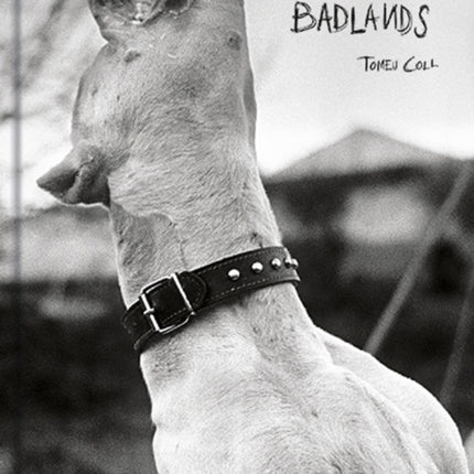 Badlands: Raised by Bones