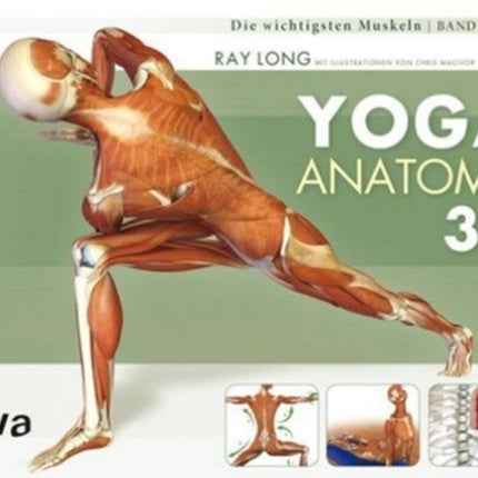 YogaAnatomie 3D Band 1 Die wichtigsten Muskeln