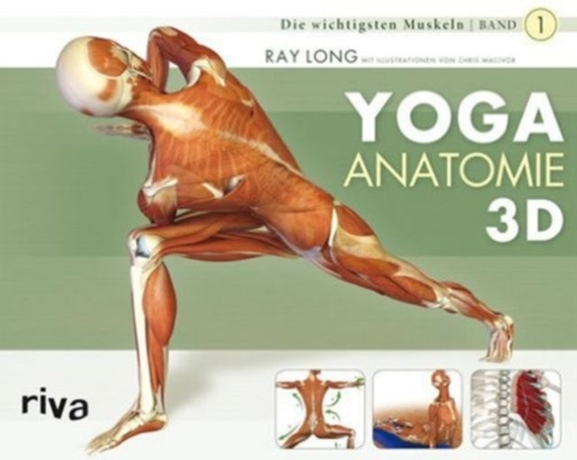 YogaAnatomie 3D Band 1 Die wichtigsten Muskeln