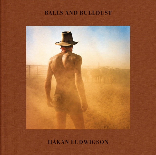 Håkan Ludwigson: Balls and Bulldust