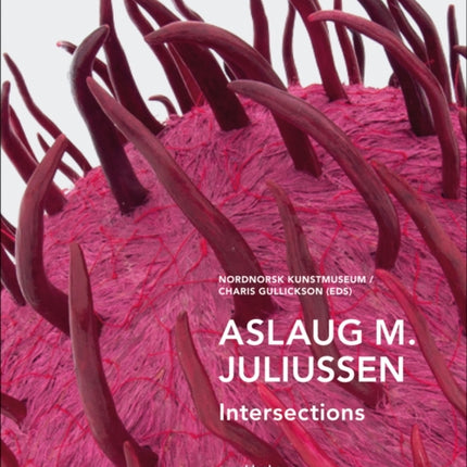 Aslaug M. Juliussen: Intersections