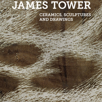 James Tower: Ceramics, Sculptures and Drawings