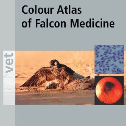 Colour Atlas of Falcon Medicine