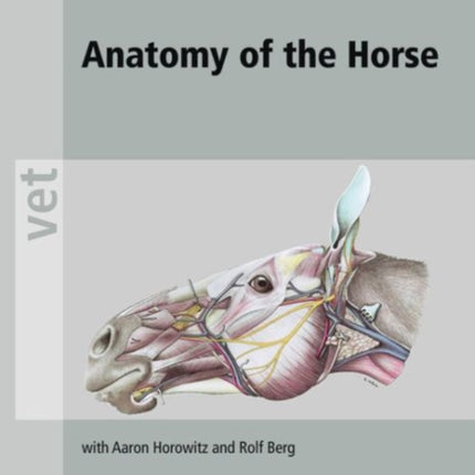 Anatomy of the Horse