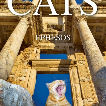 Cats of Ephesos