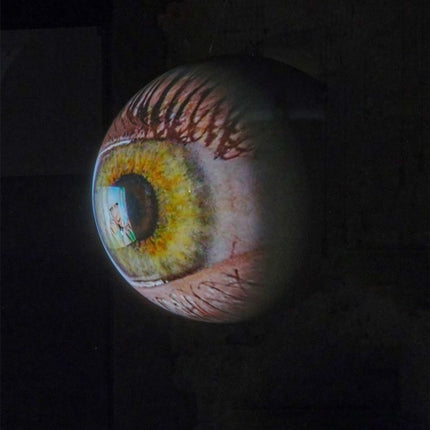 Tony Oursler: SPECULAR