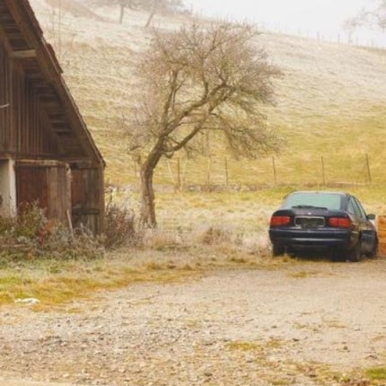Jean-Luc Cramatte: Culs de Ferme