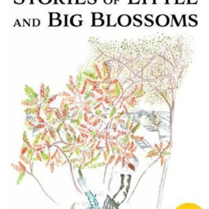 Shirin Azari: Stories of Little and Big Blossoms