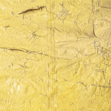 David Hammons