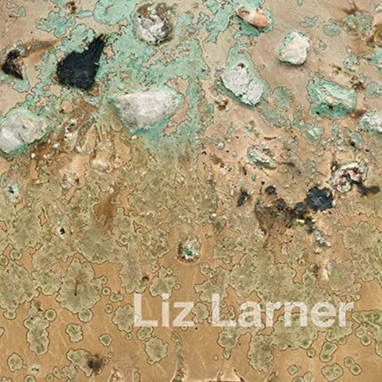 Liz Larner