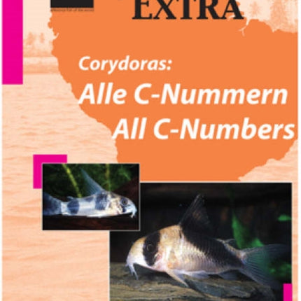 Aqualog Extra: The Latest Corydoras