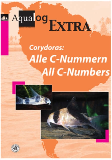 Aqualog Extra: The Latest Corydoras