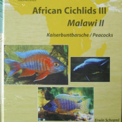 Aqualog African Cichlids III, Malawi II - Peacocks