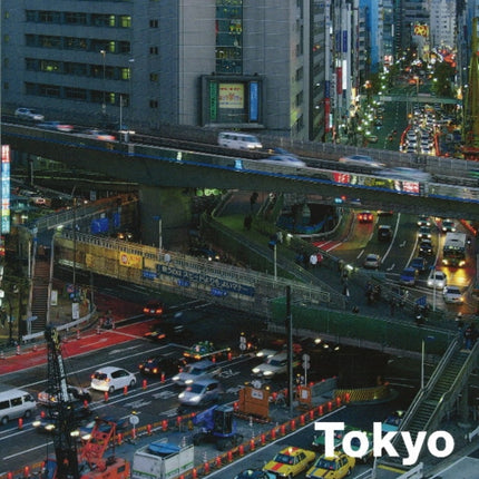 Tokyo: A Metropolis as a Self Organizing System