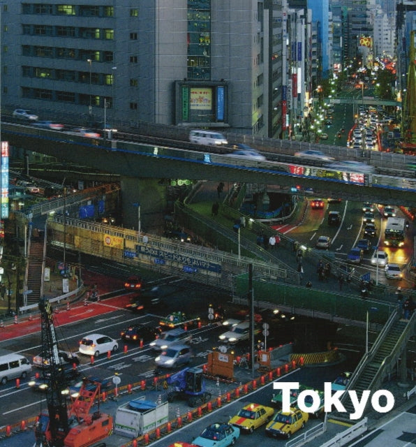 Tokyo: A Metropolis as a Self Organizing System