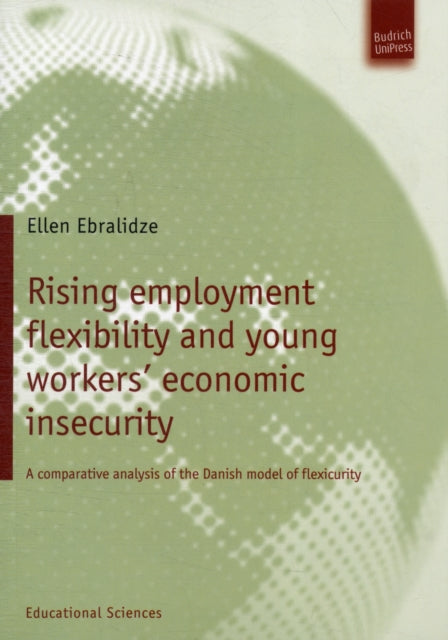 Rising employment flexibility and young workers’ economic insecurity: A comparative analysis of the Danish model of flexicurity