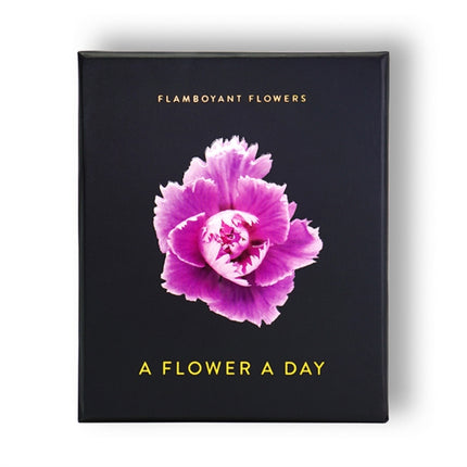 Flamboyant Flowers