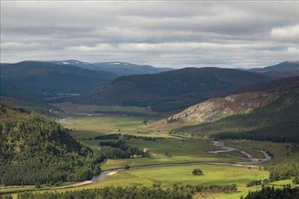 Alec Finlay - Gathering. A Place Aware Guide To The Cairngorms