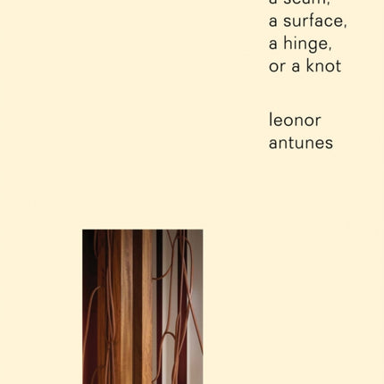 Leonor Antunes: a seam, a surface, a hinge, or a knot