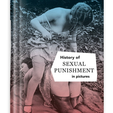 History Of S:e:x:u:a:l Punishment In Pictures: English Edition