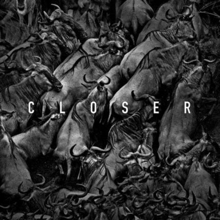 Closer: Tomasz Gudzowaty