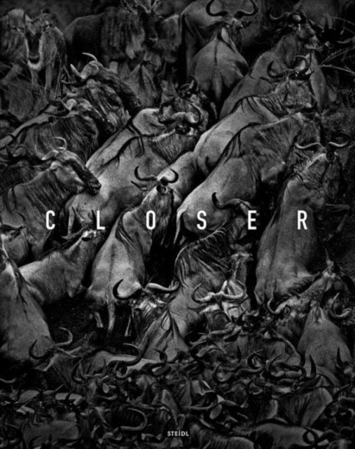 Closer: Tomasz Gudzowaty