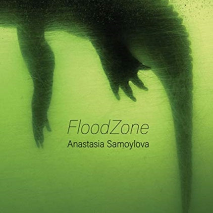 Anastasia Samoylova: FloodZone