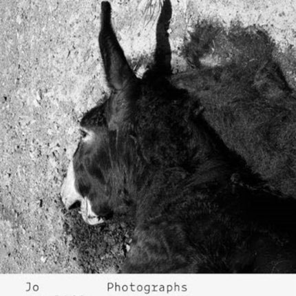 Jo Ractliffe: Photographs 1980s – now