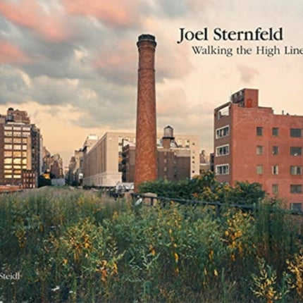 Joel Sternfeld: Walking the High Line: Revised Edition