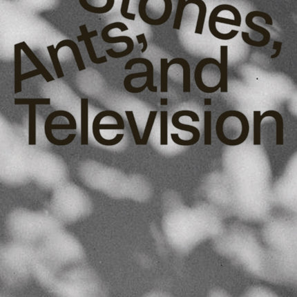 Zygmunt Rytka Stones Ants and Television