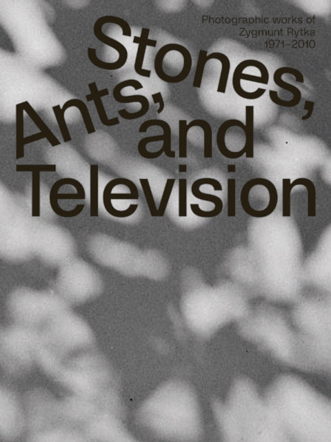 Zygmunt Rytka Stones Ants and Television